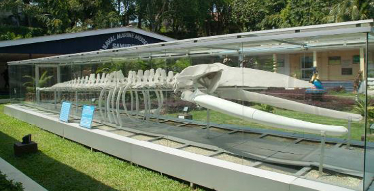 photos of anthropological museum andaman